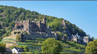 Croisière sur le Rhin de Coblence à Rüdesheim [upl. by Stannwood]