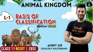 Basis of Classification  Animal Kingdom CBSE Class 11 Biology Chapter 4NCERT BiologyNEET Biology [upl. by Joed]