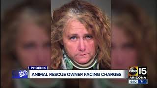 Animal rescue owner facing charges [upl. by Emilee691]