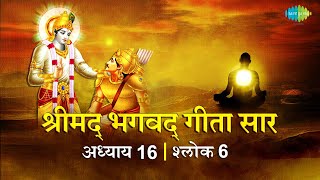 भगवद गीता सार अध्याय 16 श्लोक 6 with lyrics  Bhagvad Geeta Chapter 16 shlok 6  Shailendra Bharti [upl. by Enelhtak936]