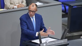 Nach Messerangriff von Mannheim Merz fordert Scholz zum Handeln auf [upl. by Joshuah]