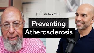 Preventing Atherosclerosis 2 Flaws with the 10 Year Risk Approach  The Peter Attia Drive Podcast [upl. by Pollerd]