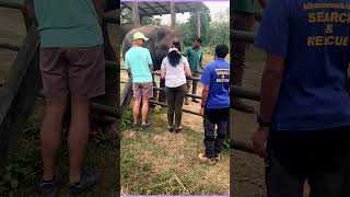 WHAT WE SEE AT JUNGLE SAFARI jungle safari [upl. by Iv]