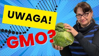 Cała Prawda o Tworzeniu GMO [upl. by Ilatfen]