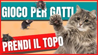 Gioco per gatti topo  Giochi per gatti sullo schermo  Videogioco solo per gatti caccia al topo [upl. by Elinad]