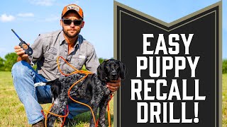 Easy Recall Drill For Dogs or Puppies [upl. by Reibaj]