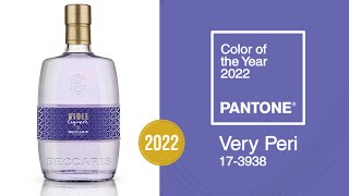 Pantone Color of the Year 2022 Very Peri periwinkle blue 173938 [upl. by Lemahs253]