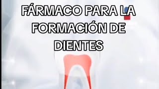 MEDICAMENTO PARA REGENERAR DIENTES dientes medicamentos ciencia ciencia [upl. by Anwaf]