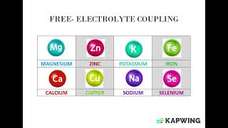 Electrolyte Zynergy for Health  quotGeodyssey Supplementsquot [upl. by Rafaellle]