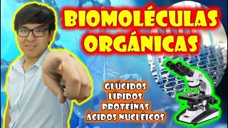 Repaso 03  Biomoléculas Orgánicas 👉🥰🌿 [upl. by Wohlert]