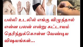 பல்லி விழும் பலன்கள்palli vizhum palangalகௌரி சாஸ்திரம்pariharangallizard falling symptoms [upl. by Angelis]