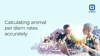 Calculating animal per diem rates accurately [upl. by Airdnaed]