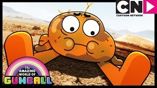 Gumball  Darwin Grows Legs  The Origins Part 2  Cartoon Network [upl. by Bohi550]