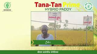 Biosseed TanaTan Prime HybridPaddy [upl. by Merkley]