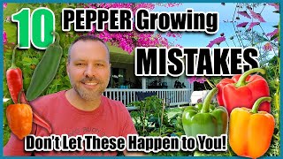 Pepper Growing Mistakes  How to Avoid or Fix ThemHow to Grow Peppers [upl. by Bolitho]