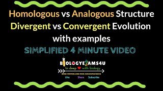 Homologous vs Analogous Structure Divergent vs Convergent Evolution with examples [upl. by Adehsar]