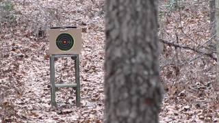 Shooting  Sighting In Ruger 1022 Long Barrel Stainless 22 LR  25 Yards By KVUSMC [upl. by Nnad746]