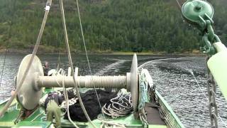 Sockeye Seining in Port Alberni Canal 2011 [upl. by Douville502]