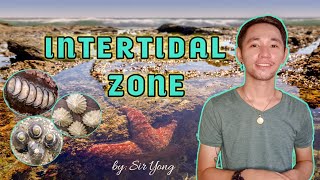 INTERTIDAL ZONE  by Sir Yong [upl. by Traci774]