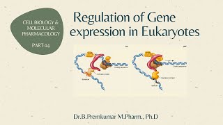 Gene regulation in Eukaryotes  CBMP  Part 14 [upl. by Oilalue]