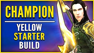 LOTRO Champion Yellow Build Starter Guide [upl. by Herra744]