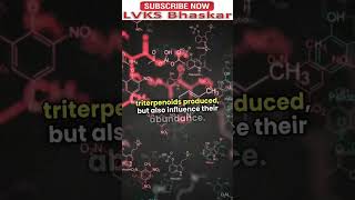 Triterpenoid biosynthesis [upl. by Aylward]