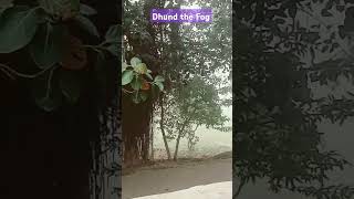 Dhund The Fog Extreme Levelpunjabisong punjabi music newsong trending pmchampiontrophylove [upl. by Eillime884]