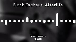 Afterlife  Black Orpheus  Remix [upl. by Acirret936]