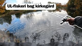 Halloweenfiskeri bag kirkegård [upl. by Costanza975]