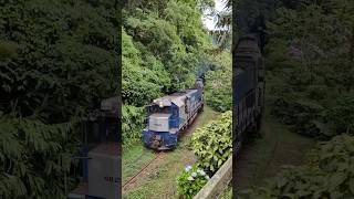 Trem de passageiros Litorina saindo do Túnel passeio Curitiba Morretes trem train morretes [upl. by Orvah]