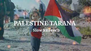 Palestine Tarana  Labbaiq Yea Aqsa  New Urdu naatSlowed amp Reverbed [upl. by Noiwtna]