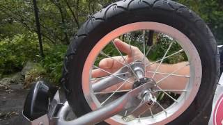 WeeRide Deluxe Child Bike Trailer Video [upl. by Helsie]