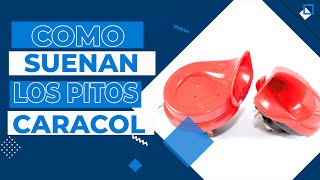 Como suenan los pitos de caracol  Accesorios para autos 2021 [upl. by Eatnoled565]