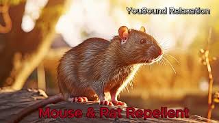 5 Hours of Ultrasonic Mouse and Rat Repellent  HighFrequency Pest Control Sound [upl. by Cantu856]