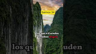 David celebra la grandeza de Dios Reflexión sobre la soberanía divina y la pureza  Biblia [upl. by Ellecrad90]