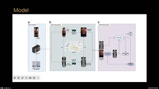 Conditional generative adversarial network assisted system for radiation free evaluation of scoliosi [upl. by Meeks]