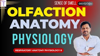 Olfaction Physiology Olfactory Tracts Malayalam Smell Physiology Anatomy Physiology Malayalam [upl. by Suiraj]