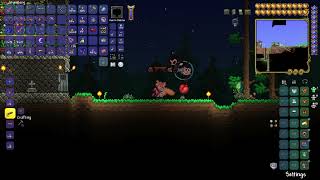 Terraria 149 money glitch [upl. by Arabelle482]