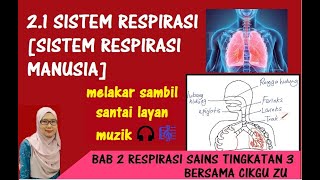 BAB 2 RESPIRASI  SAINS TINGKATAN 3 [upl. by Onurb749]