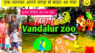 vandalur zoo part 1 [upl. by Waldemar]