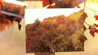 Mississippi Fall Colors  Brainerd Minnesota [upl. by Oag]