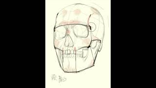 human art drawing｜How to mark the skull bone points Easy to follow steps [upl. by Eamaj787]