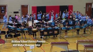 MalletSC 2016  Tapteal Elementary  Hot Hot Hot [upl. by Joane148]