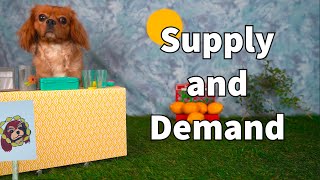 Supply and Demand Lesson for Kids [upl. by Boy]