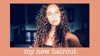 My Ouidad Curly Haircut [upl. by Ahsain]