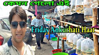 রঙিন মাছের হাট অঙ্কুরহাটি  Ankurhati Fish Pet Market  Howrah Ankurhati Aquarium Fish Price  Fish [upl. by Herod476]