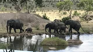 Four Seasons Safari Lodge Serengeti  Serengeti Tanzania [upl. by Rol]