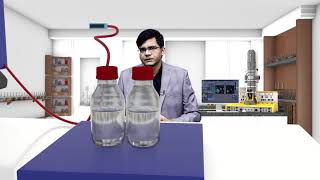 CAPILLARY ELECTROPHORESIS Animations 2020  Best CAPILLARY ELECTROPHORESIS for DNA [upl. by Novert609]