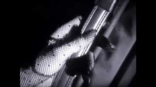 BAUHAUS Shes In Parties Official Video HD [upl. by Hsac]