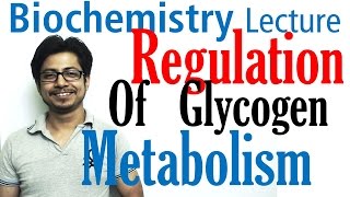 Regulation of glycogen metabolism  Glycogen metabolism lecture 3 [upl. by Churchill]